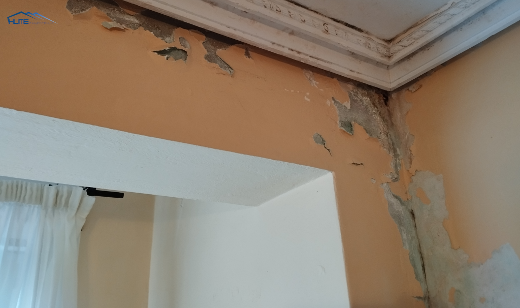 pared de vivienda con humedad