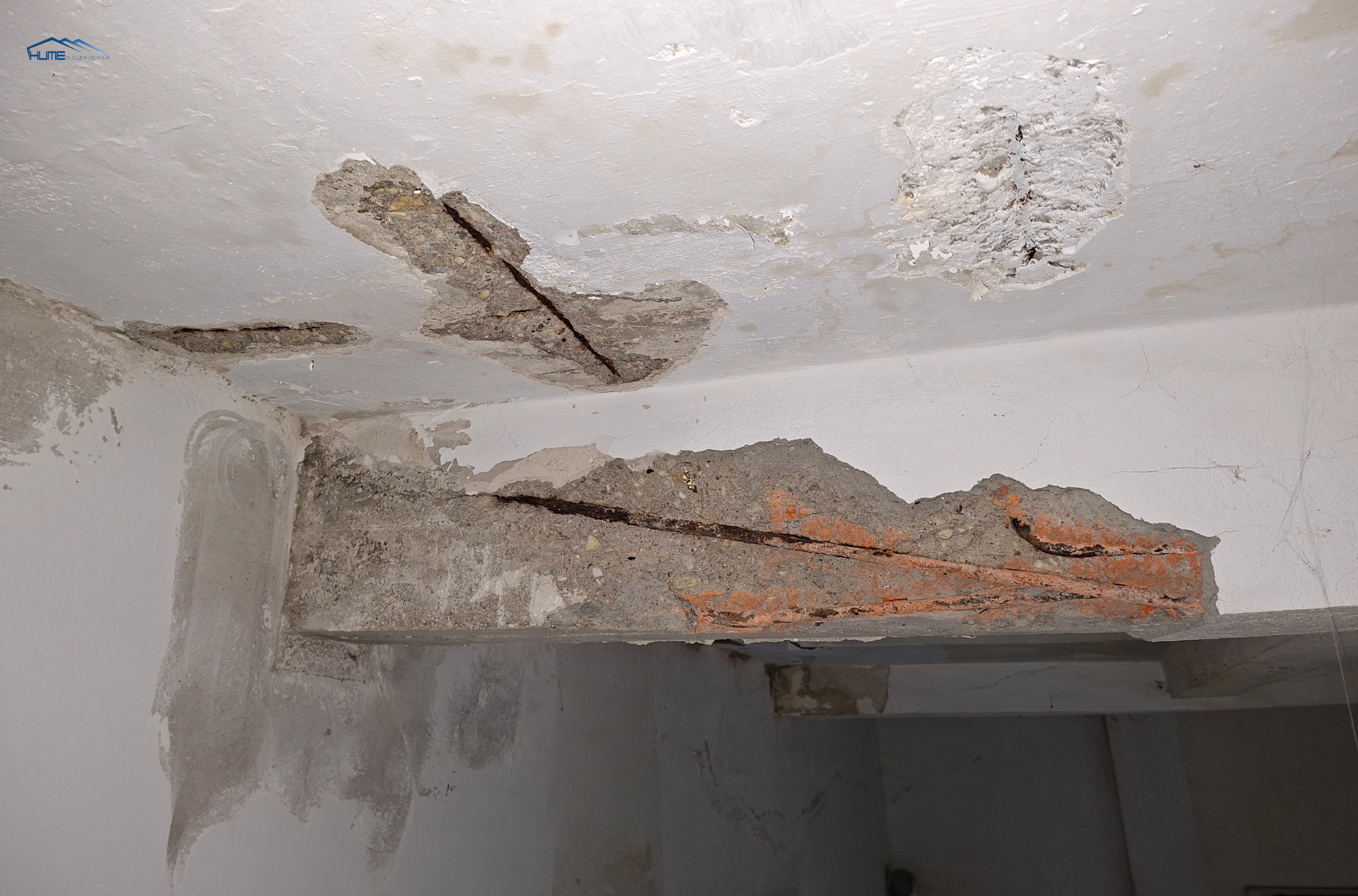 humedad en techo