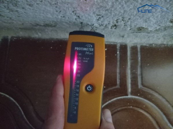 igómetro midiendo humedad en pared blanca